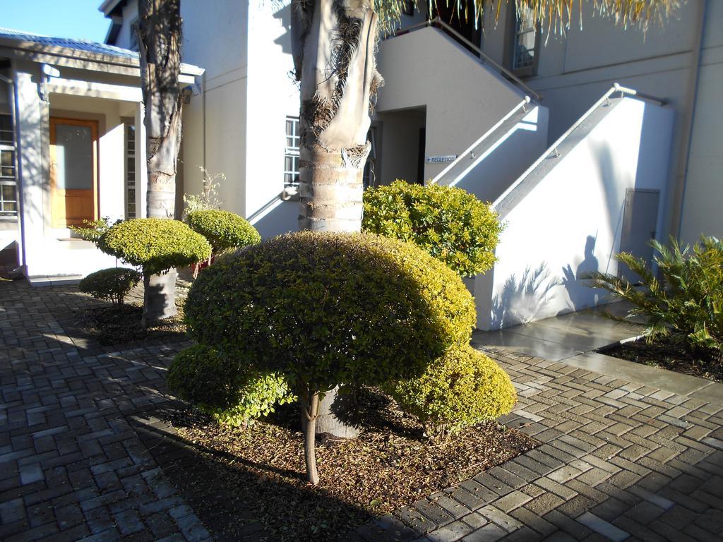 Summer Garden Guest House Бенони Екстериор снимка